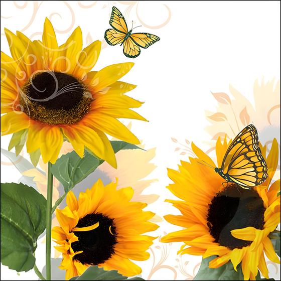 Imagem de Guardanapo para Decoupage Ambiente Sunny Butterfly com 20 Unidades