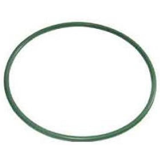 Imagem de Guarnição da flange do módulo de combustível Prisma 2013 a 2023