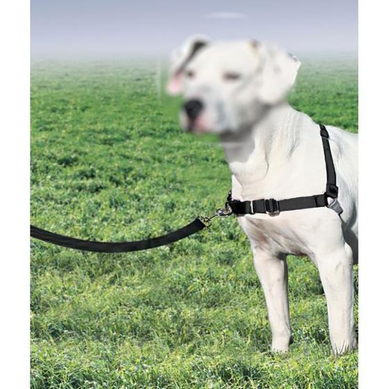 Imagem de Guia Coleira Peitoral Easy Walk M Cães com Regulagem