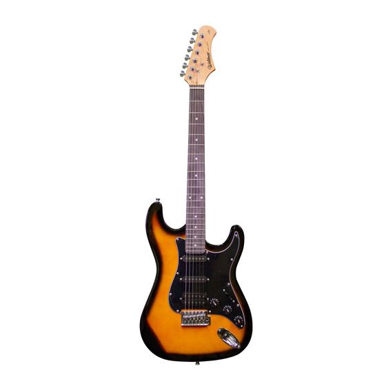 Imagem de Guitarra Waldman ST211 Strato 2 Tone Sunburst 2TS ST-211