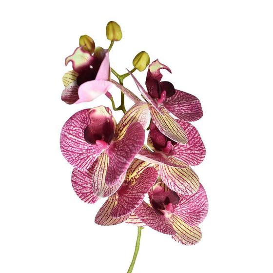 Imagem de H.orquidea Phalaenopsis Real Toque X6 69cm (florarte) Vol. 4