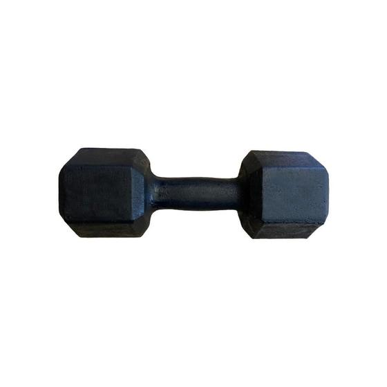 Imagem de Halter Sextavado Pintado 10Kg Academia Treino Musculação