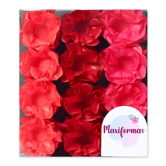 Imagem de Happy 3 Tons Mono Cereja/Marsala/Vermelho