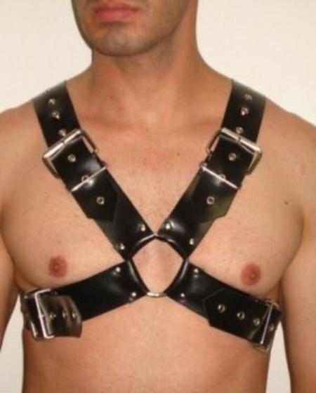 Imagem de Harness Gladiador BY016 Couro Legítimo