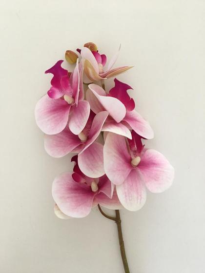 Imagem de Haste artificial orquídea X5 cabeças toque real