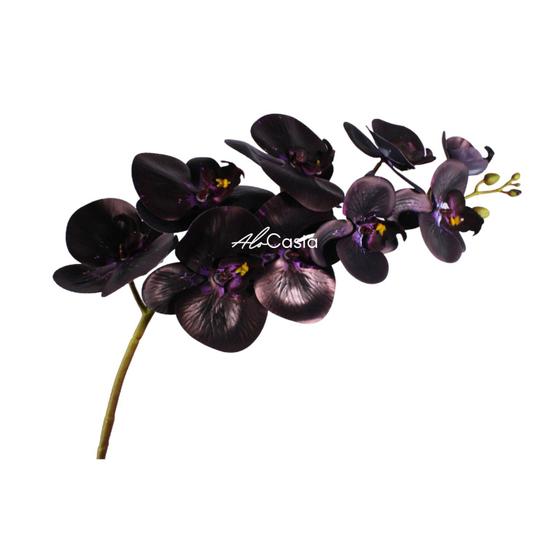 Haste de Orquídea Negra Artificial 9 flores 97cm cor Preto - AloCasia -  Plantas Artificiais - Magazine Luiza