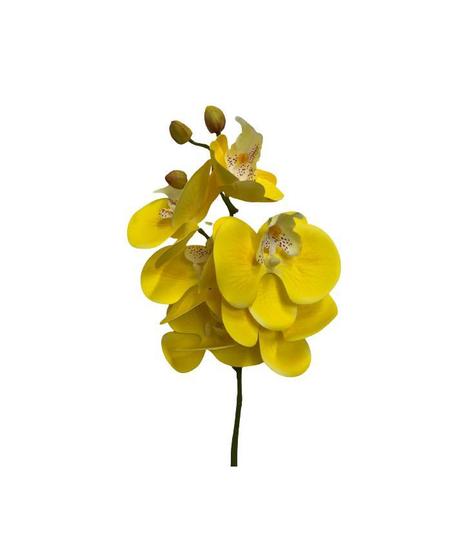 Imagem de Haste Orquídea C 6 Flores Amarelo - Villaggio das Flores