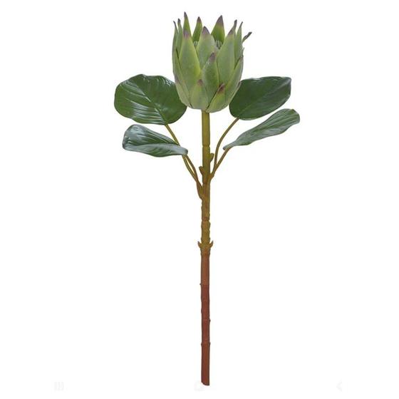 Imagem de Haste Protea Frosted Com Coat Verde 50cm