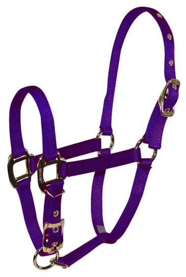 Imagem de Horse Halter Hamilton, nylon ajustável para animais de estimação e equinos, roxo