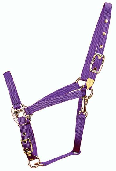 Imagem de Horse Halter Hamilton, nylon árabe, com queixo ajustável, roxo