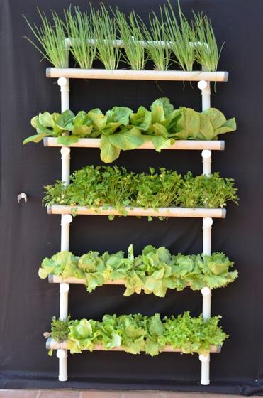 Horta Suspensa / Jardim Vertical / Jardinagem / Horta em Casa Menor preço em Horta Suspensa / Jardim Vertical / Jardinagem / Horta em Casa