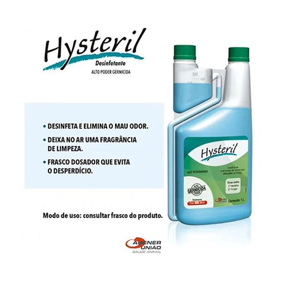 Imagem de Hysteril Desinfetante Agener União  1 Litro