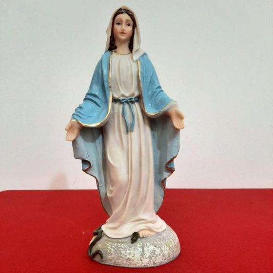 Imagem de Imagem de Nossa Senhora das Graças de Resina Modelo sem Medalha - 18 cm