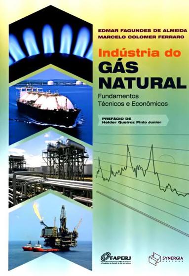 Imagem de Indústria do gás natural: fundamentos técnicos e econômicos