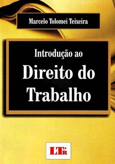 Imagem de Introducao ao direito do trabalho               01 - LTR