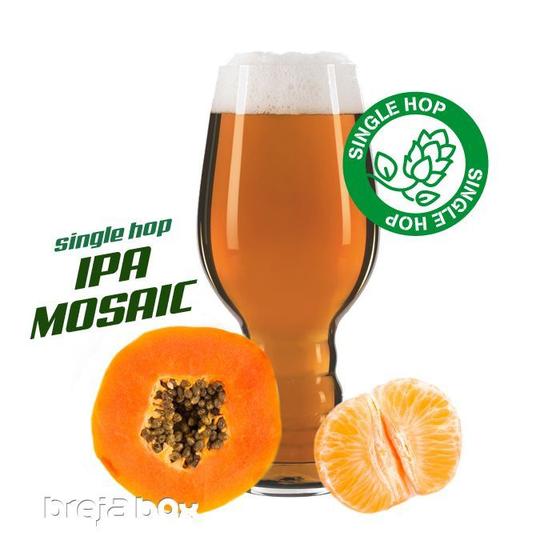 Imagem de IPA Single Mosaic kit receita - Breja Box