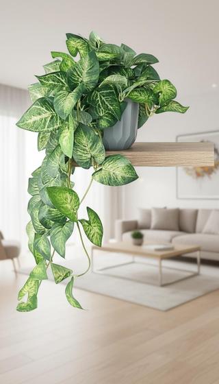 Jiboia Pendente em Vaso Decorativo 60cm