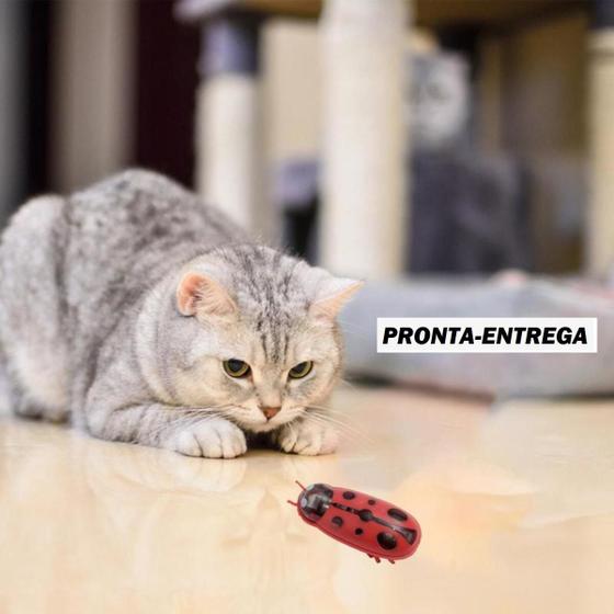 Imagem de JOANINHA Besouro brinquedo interativo Gato PRONTA ENTREGA cor vermelho Pet Cachorro Cama Racao Caes Acompanha 01 bateria