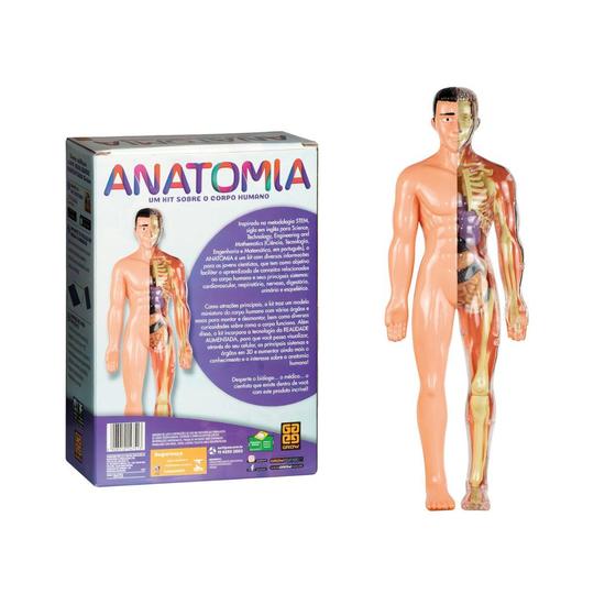 Imagem de Jogo Anatomia Grow