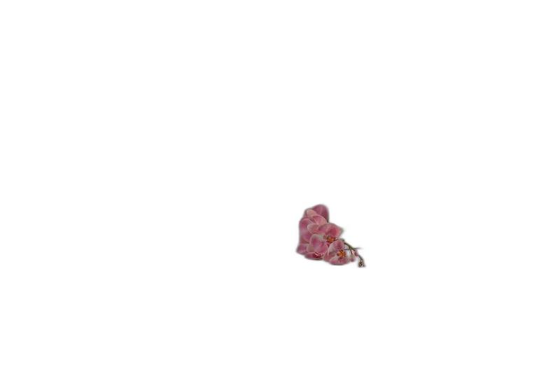 Imagem de Jogo Lençol Com Elástico Casal 3 Peças 100% Algodão Rosa