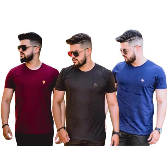 Imagem de Kit 03 Camisas Gola O Masculina Bordada Fio 30 100% Algodão