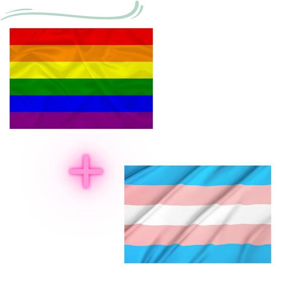 Imagem de Kit - 1 Bandeira GAY + 1 Bandeira TRANS