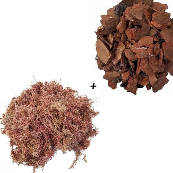 Imagem de Kit 10 Litros Musgo + 10 Litros Casca De Pinus C/ Carvão