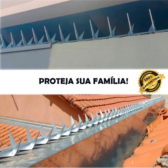 KIT 10 METROS Lança para Muro mandibula farpada Menor preço em KIT 10 METROS Lança para Muro mandibula farpada