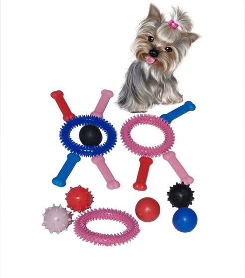 Imagem de Kit 10 Mordedores Brinquedo Diversos Para Cachorros Pequenos