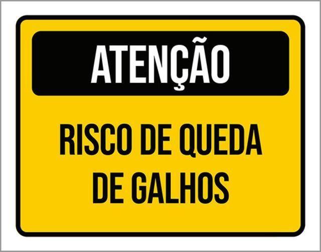 Imagem de Kit 10 Placas Atenção Risco Queda Galhos