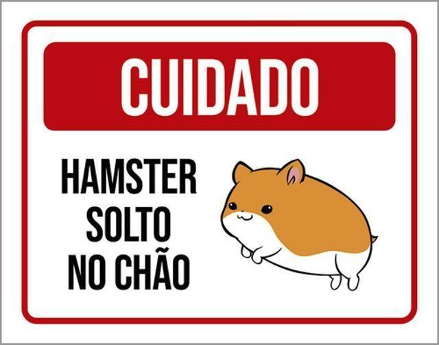 Imagem de Kit 10 Placas Cuidado Hamster Solto No Chão 36X46