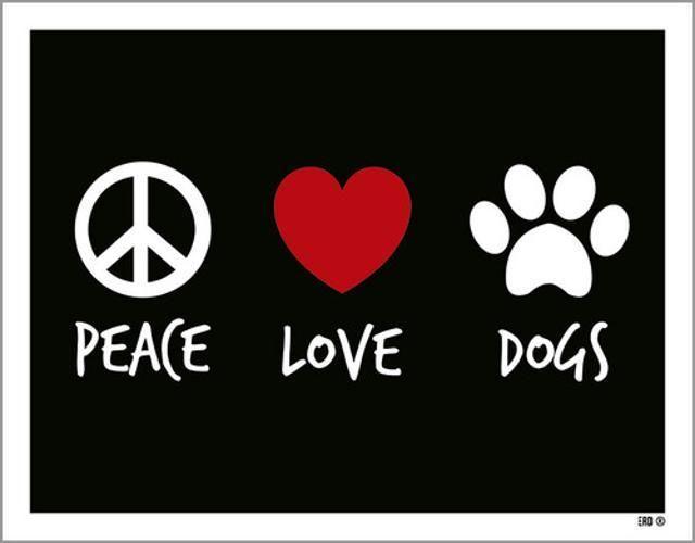 Imagem de Kit 10 Placas Peace Love Dogs Coração Patinha 36X46