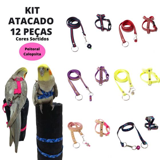 Imagem de Kit 12 Guia Coleira Peitoral Para Aves Calopsita Revenda Atacado Petshop Loja