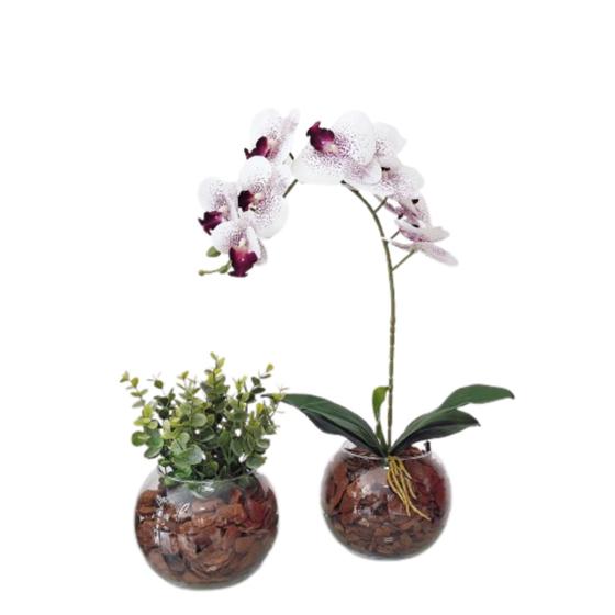Imagem de Kit 2 Arranjo Vaso Terrário Flor Verde E Orquídeas Decor