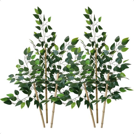 Imagem de Kit 2 Bambu da Sorte Mosso Grande Sem Vaso Decoração para Sala