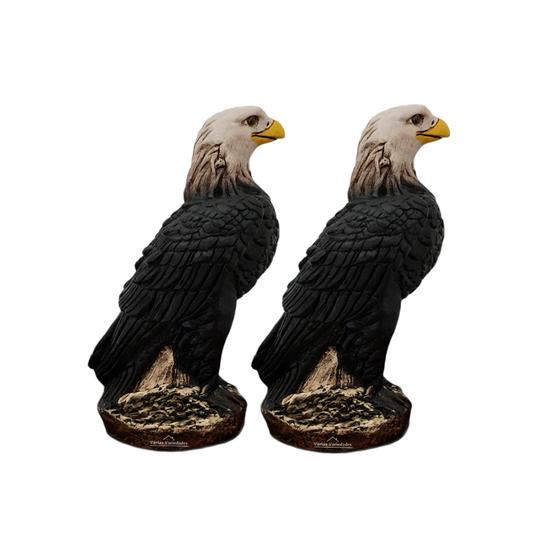 Kit 2 Gavião Espanta Pombo E Passarinhos 36 Cm - Várias Variedades Imagem de Kit 2 Gavião Espanta Pombo E Passarinhos 36 Cm - Várias Variedades