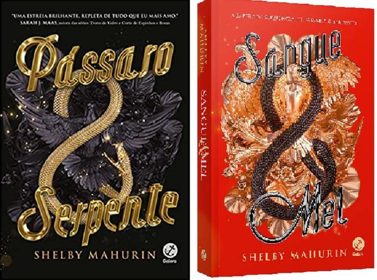 Imagem de KIT 2 LIVROS SHELBY MAHURIN Pássaro e serpente + SANGUE E MEL