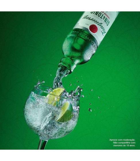 Kit 2 Mini Gin Tanqueray And Tonic 275ml Gin Magazine Luiza