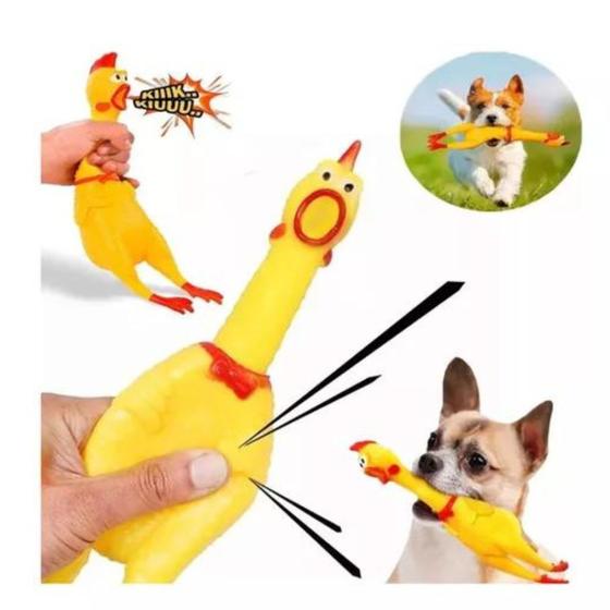 Imagem de Kit 2 Mordedores Frango Galinha Pet 29cm Brinquedo Sonoro