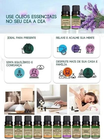 Imagem de Kit 2 Óleos Essenciais 20Ml Artemísia + Noz Moscada - Puro