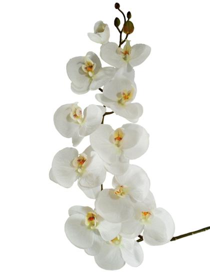 Imagem de Kit 2 orquídeas em silicone Premium