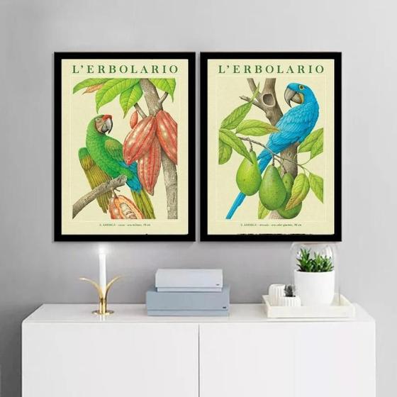 Imagem de Kit 2 Quadros Botânicos Araras Tropicais 45X34Cm - Com Vidro