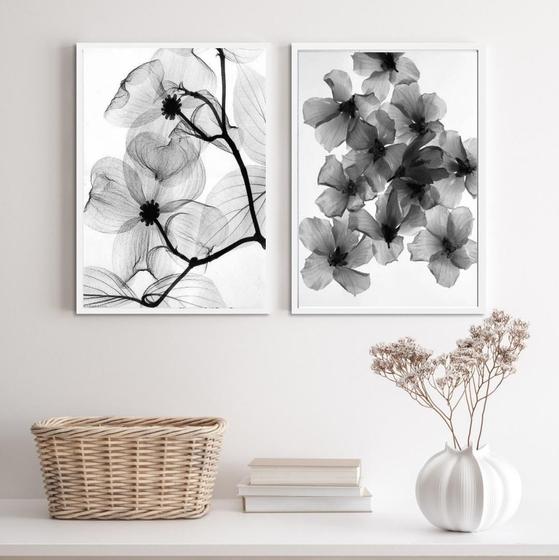 Imagem de Kit 2 Quadros Florais Transp. 33x24cm - Com Vidro