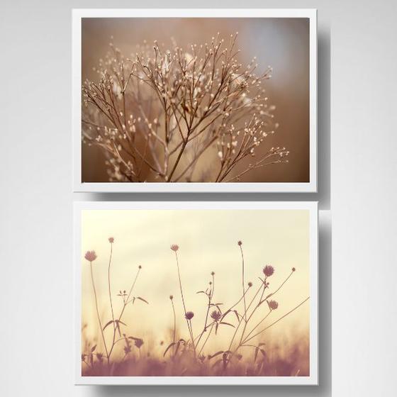 Imagem de Kit 2 Quadros Horizontais Flores Do Campo 45x34cm