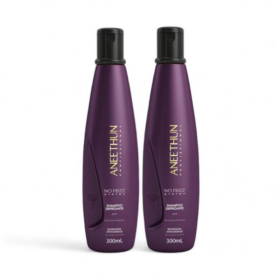 Imagem de Kit 2 Shampoo 300mL Aneethun Defrizante No Frizz System