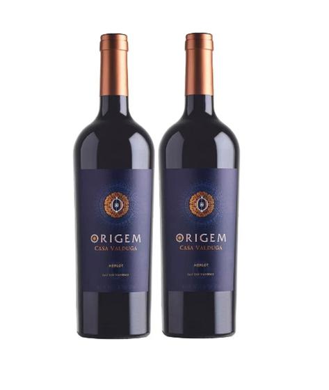 Imagem de Kit 2 Un Vinho Casa Valduga Origem Merlot 750 ml