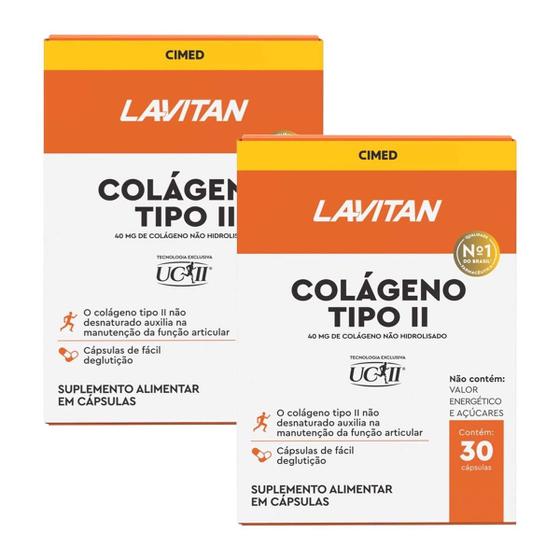 Imagem de Kit 2 und Lavitan Colageno Tipo II 30 Cps