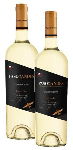 Imagem de kit 2 Vinho Paso De Los Andes Sauvignon Blanc 750ml