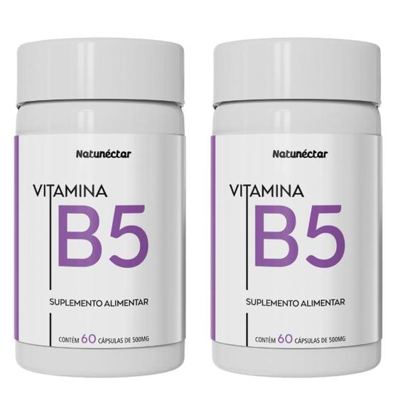 Imagem de Kit 2 Vitamina B5 Ácido Pantotênico Natunéctar 120 Cápsulas 500mg Original