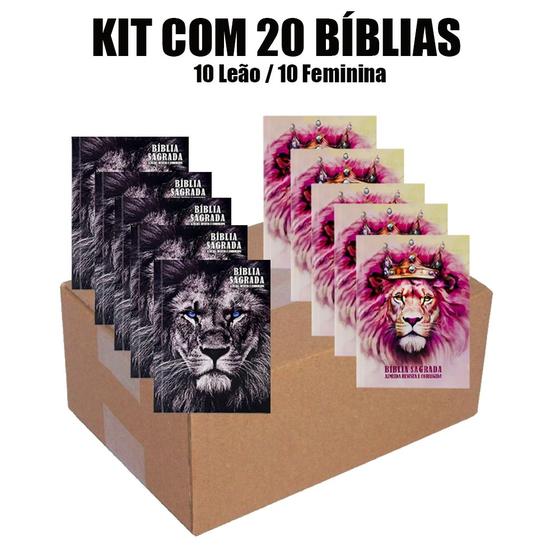 Imagem de Kit 20 Bíblias Pequena Evangelismo Edição de Promessas